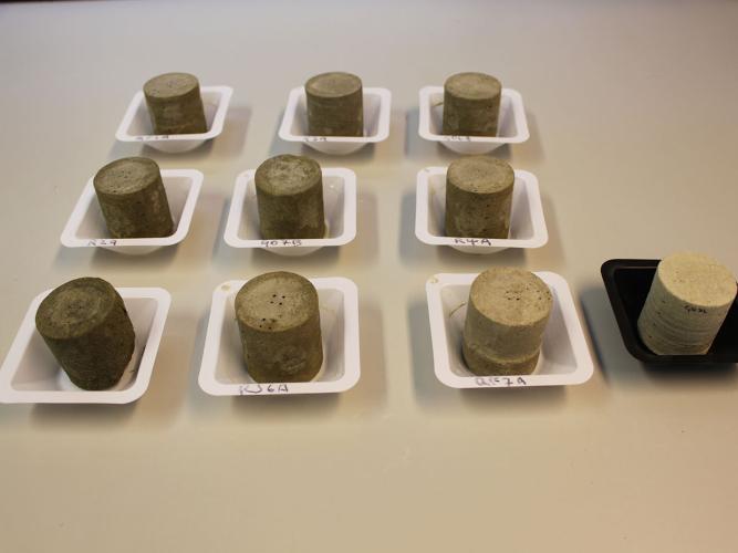 Reigate Stone salt experiment samples
