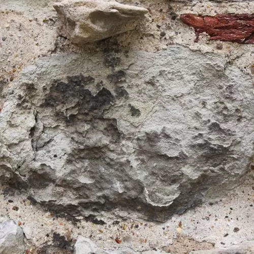 black crust