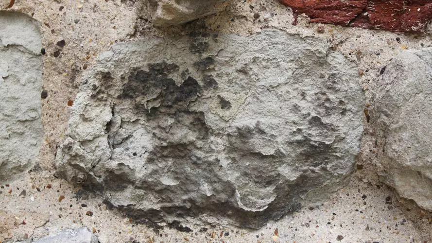 black crust